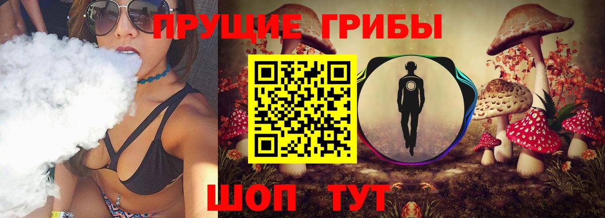 Галлюциногенные грибы Magic Shrooms  Вход с VPN  купить  сайты  Чита 